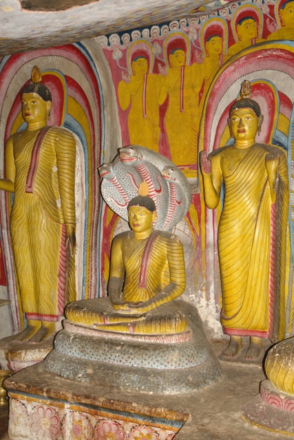  .   , - ( Dambulla - cave temple - attracted by cobras , Dambulla, Sri-Lanka)